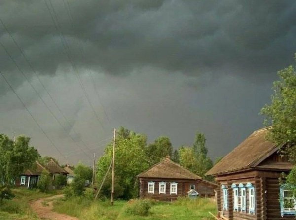 Перед дождем в деревне