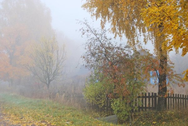 Поздняя осень в деревне