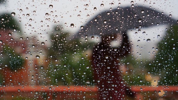 Капли летнего дождя