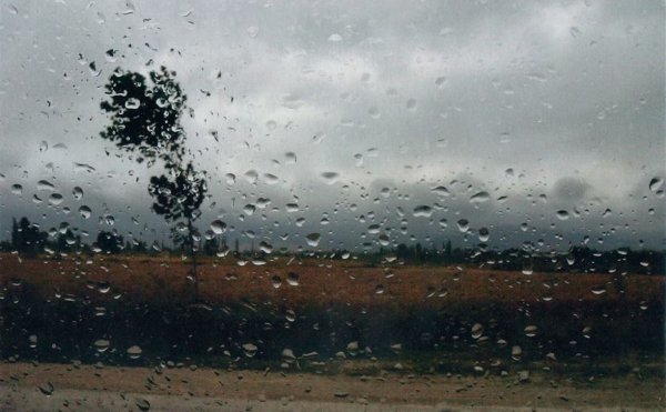 Ливень и ветер