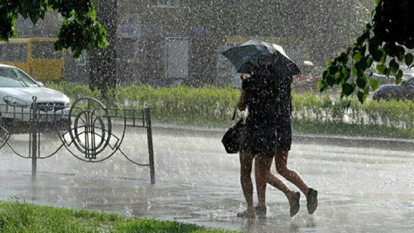 Дождливый день