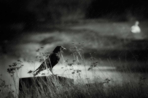 Темные грустные картинки