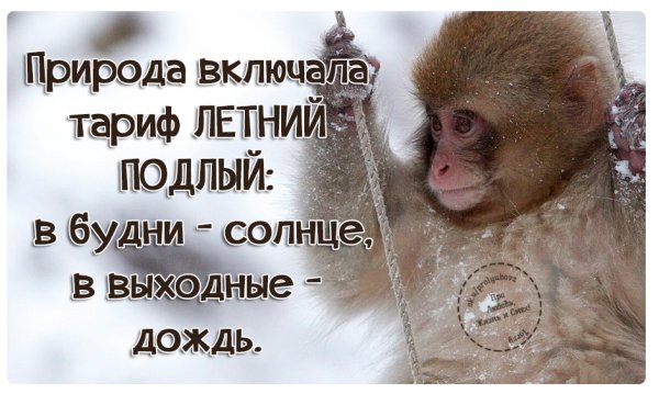 Статусы на выходные в картинках