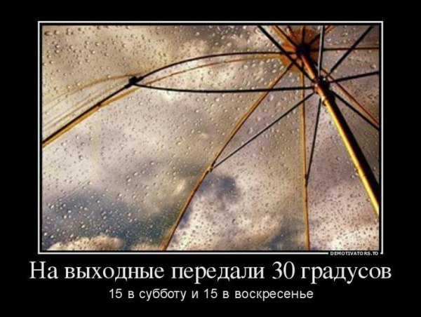 Демотиваторы про дождь