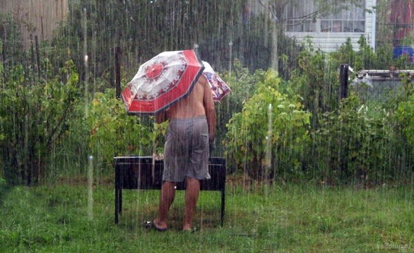 Шашлык под ливнем