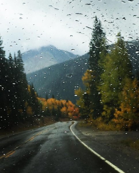 Дорога дождь