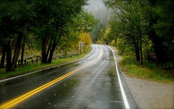 Мокрая дорога