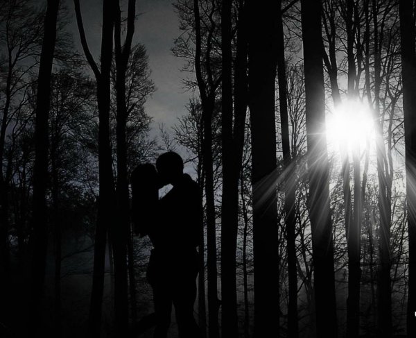 Влюбленные в ночном лесу