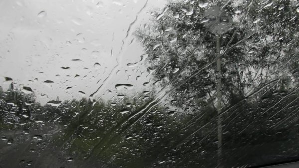 Сильный ветер и дождь