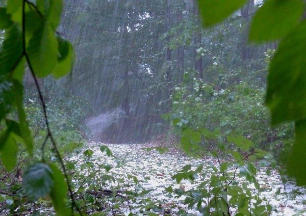 Дождь с градом