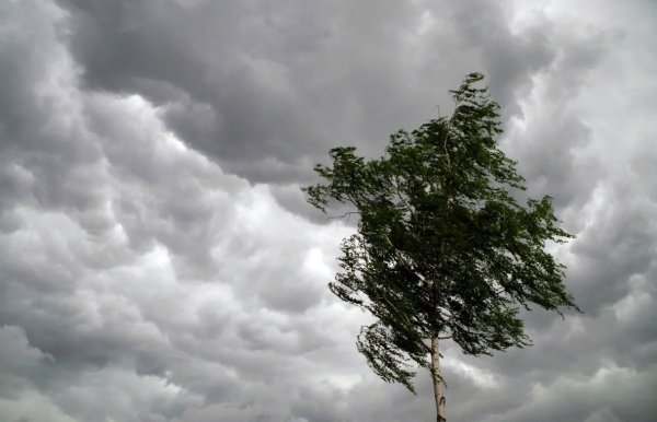 Усиление ветра 15-20 м/с