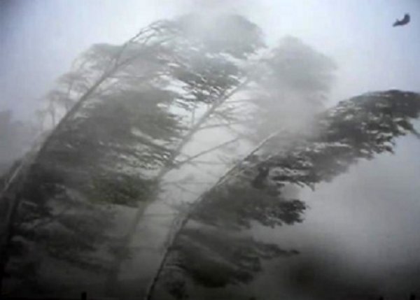 Сильный ветер град ливень в Алтайском крае