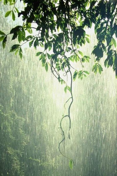 Капли дождя на воде