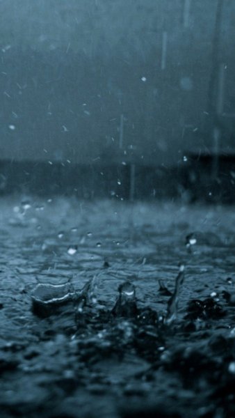 Пасмурная осень в городе