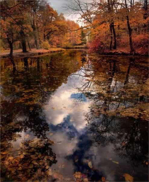 Заставка дождь