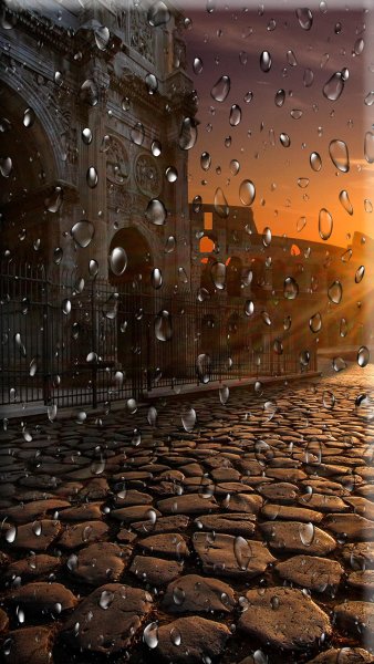 Летний дождь