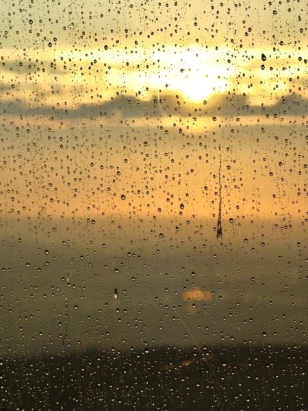 Дождь и солнце