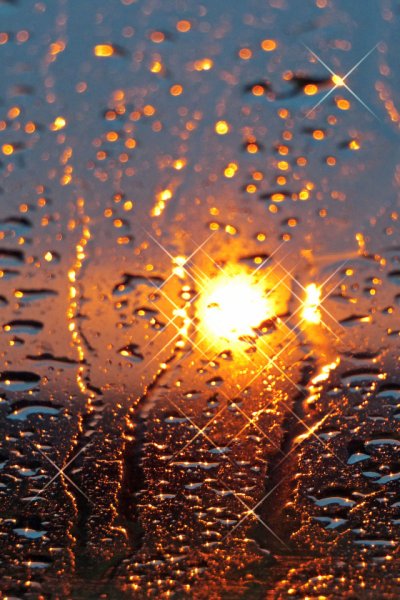 Дождевые капли на стекле