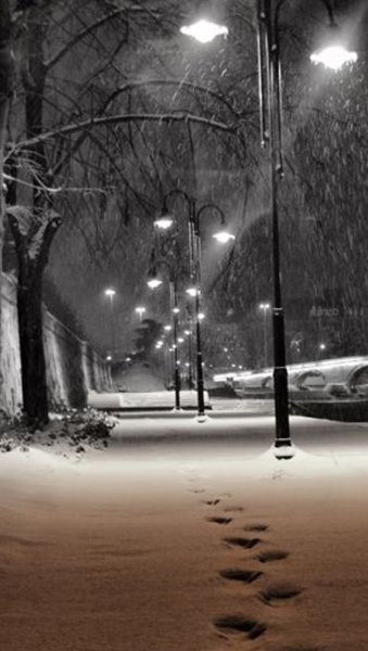 Осень зонтик