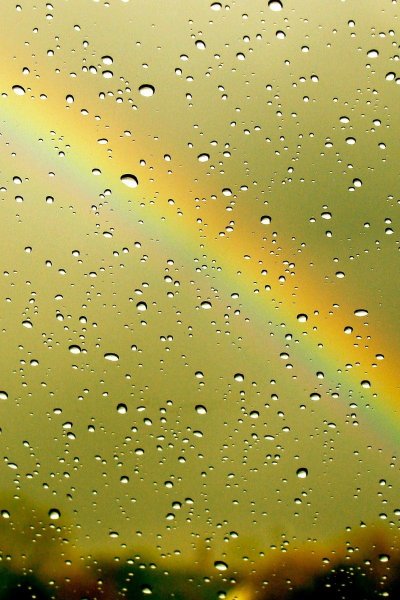 Капли на стекле