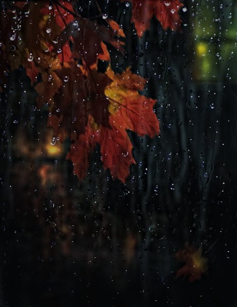 Осень листья дождь