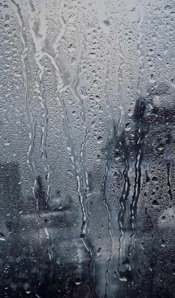 Зимний дождь