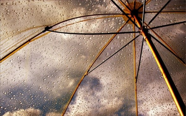 Капли дождя на зонте