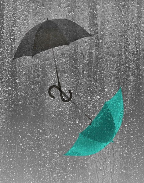 Дождик и зонтик