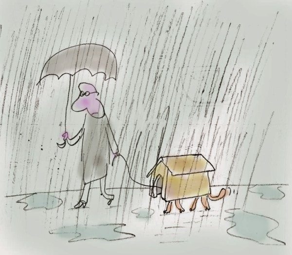 Веселые картинки про дождь