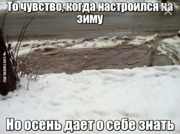 Шутки про дождь зимой