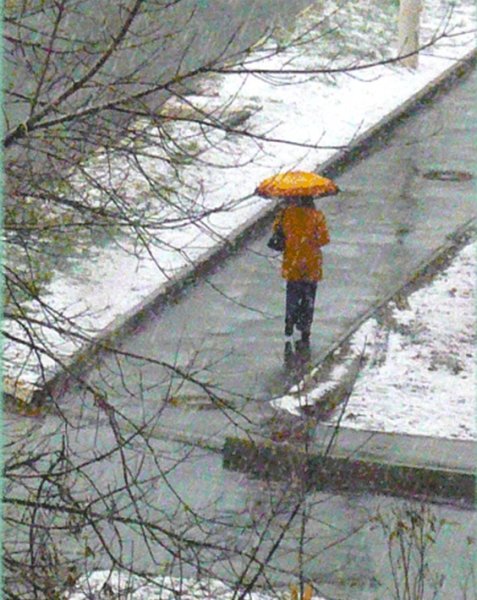 Вместо снега дождь