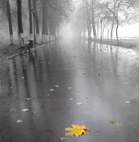 Дождь серость