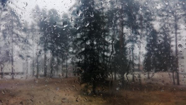 Обои дождь