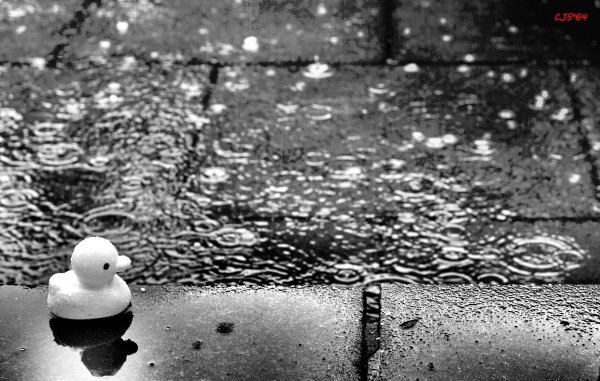 Дождь черное белое