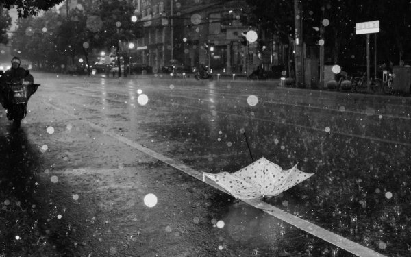 Дождливый день