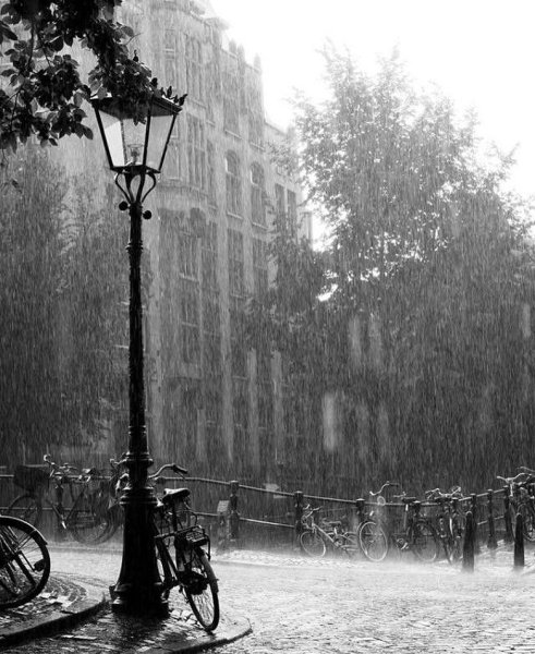 Дождь в городе чб