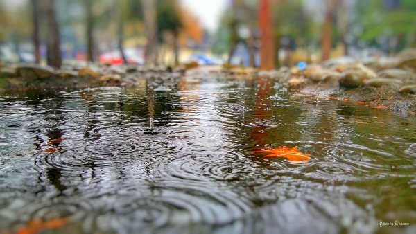 Осенний ливень