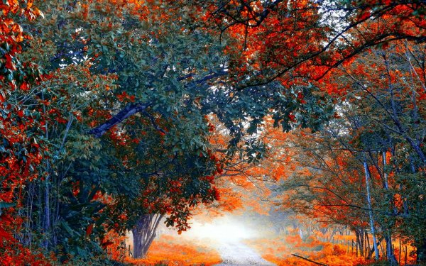 Поздняя осень