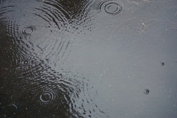 Лужа сверху