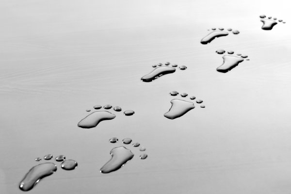 Картина след