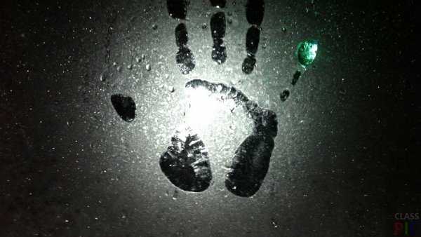 Отпечаток ладони