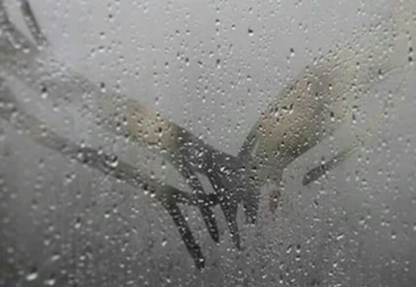 Отпечаток на мокром стекле