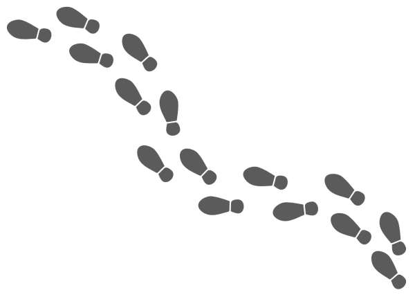 Тропинка из следов