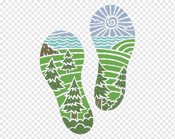 Экологический след