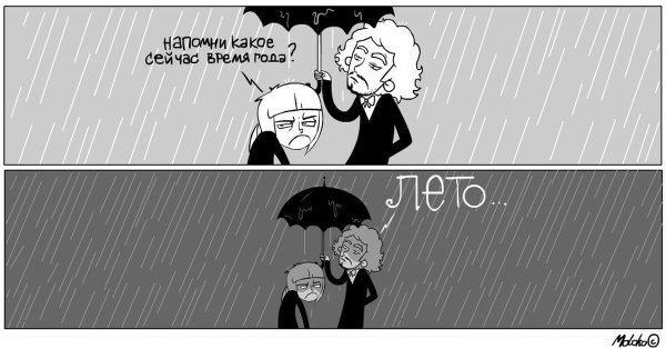 Мемы про дождь
