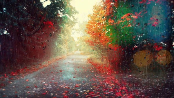 Красивый дождливый фон