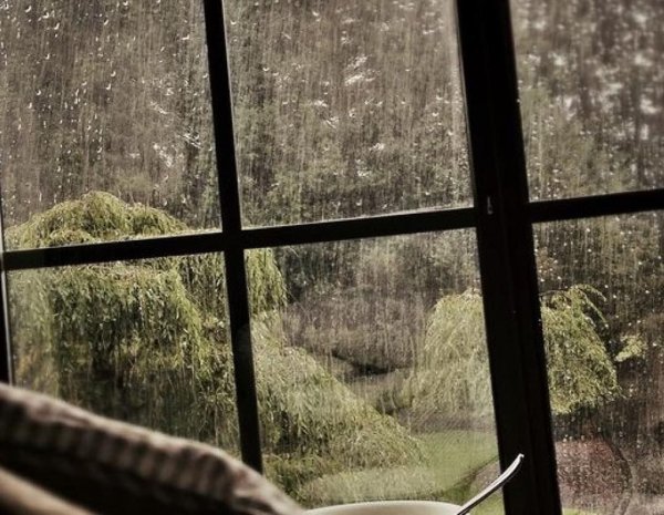 Ливень за окном