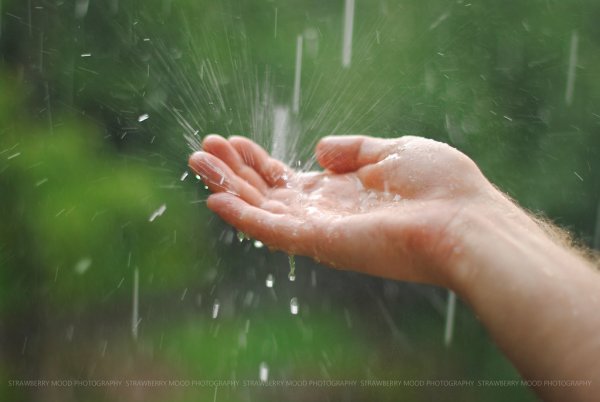 Ладонь под дождем