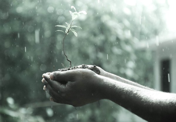 Ливень грусть