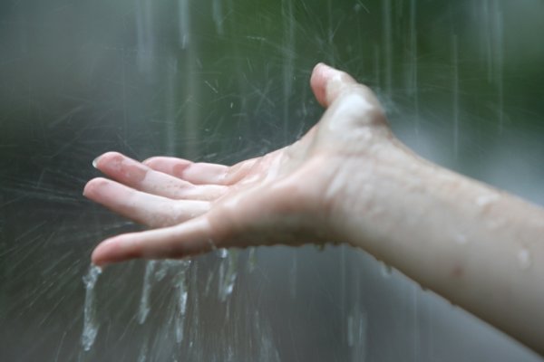 Дождь на ладони